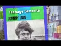 Download Lagu Teenage Senorita Play Along  C