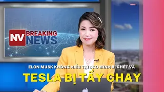 Elon Musk không hiểu tại sao mình bị ghét và Tesla bị tẩy chay