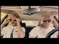 Download Lagu West Street Children - Blister (Official Music Video)
