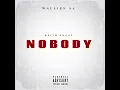 Download Lagu Wallies SA - Nobody (Remix)