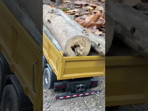 Angkut kayu