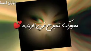 سهر القوافي الوداعية قالت لي مصيرك تنجرح في الريدة 