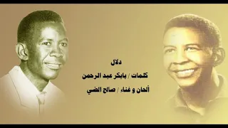 دلال صالح الضي 