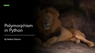 What is Polymorphism and Implementing an Example in Python