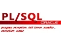 How to handle errors with PRAGMA EXCEPTION - INIT in Oracle plsql developer