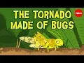 Just add water The garden insect that can turn into a plague - Jeffrey A Lockwood