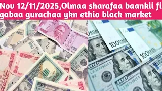 Nov 12 11 2025 Olmaa Sharafa Banki Fi Gabaa Gurachaa Ykn Ethio Black Market 
