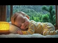 Baby Sleep Music with Gentle Rain Sounds🎶 Overcome Insomnia & Fall Asleep Instantly😴