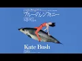 Download Lagu Kate Bush - Symphony In Blue (Audio)