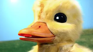 The Duck Song IRL 