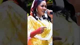 ابني عشك يا قماري مكارم بشير دندنها