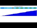 sorting visualizer using HTML CSS and JAVASCRIPT