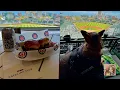 Catalina Club Full Experience at Wrigley Field Finally a Club Level With ADA Seating Areas