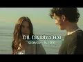 DIL DA DAIYA HAI - ANAND RAJ ANAND (SLOWED + REVERB)