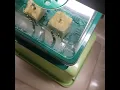 White Widow Auto ILGM Grow Journal Day 3