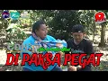 Download Lagu DI PAKSA PEGAT || kampung pantura || film pendek Indramayu