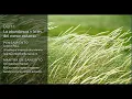 Download Lagu 21 dias de Meditação - Vivendo a Abundância - Dia 11 - Com Deepak Chopra