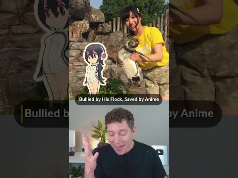 Penguin Only Finds Joy in Anime