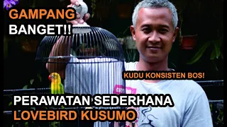 Download 14 RAHASIA PERAWATAN LOVEBIRD KUSUMO SANG LEGENDA AGAR NGEKEK KONSLET PANJANG TAHAN LAMA! MP3