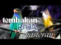 Download Lagu MASTERAN FULL TEMBAKAN UNTUK BURUNG FIGHTER MUDAH DITIRU - SEMUA JENIS BURUNG PASTI Nyaut