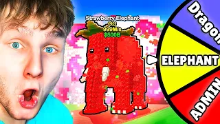 Ami Kipörög azt Meg KELL Szereznünk! 😱 (Steal A Brainrot)