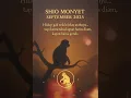 Download Lagu Shio Monyet September 2025 – Diam-diam Tahu Arah Hidupnya