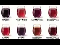 Every Red Wine Explained