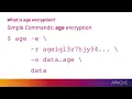 The Jagged Edge Streaming End-to-End Encryption with age in Java and Beyond