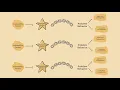 DBT Chain Analysis