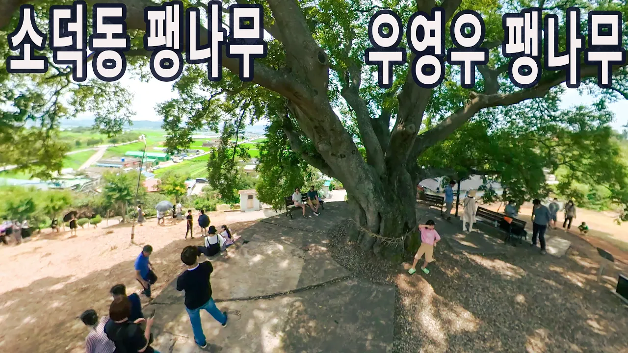 관련 영상 썸네일
