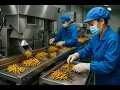 Download Lagu Cordyceps sinensis: A kind of fungus that parasitizes insects