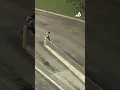 Aerial police pursuit foot chase ends with suspect in custody in Broward