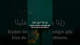 Bakara Suresi 286 Ayet Bilal Darbali Allah القرآن الكريم 