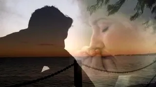 الايام وائل جسار 