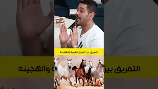 كيف يفرق العرب بين الخيول الاصيلة والهجينة سائد السردي 