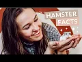 10 FUN FACTS About WINTER WHITE HAMSTERS You Probably Didn t Know
