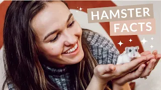 10 FUN FACTS About WINTER WHITE HAMSTERS You Probably Didn t Know