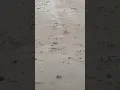 Alam Rana Minang nan tacinti