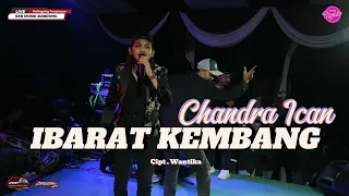 ibarat kembang chandra ican skb music live malingping panyirapan 