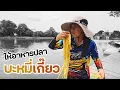 Download Lagu ให้อาหารปลา ด้วยบะหมี่เกี๊ยว | เด็กตกปลา