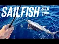 Solo Offshore Sailfish Madness 2-Mile Run off Fort Lauderdale Live Ballyhoo Bite