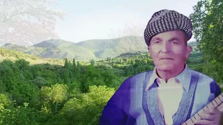 محمد عارف جزيري زرافي 