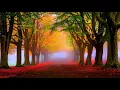 Why Goodbye - Peabo Bryson (w/ Lyrics)