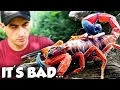 Lagu North America's DEADLIEST Scorpion ISN'T from the Desert