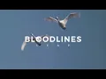 BLOODLINE  LEAP SUBTITULADA INGLÉS/ESPAÑOL
