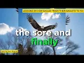 LESSONS ON HOW EAGLES TRAIN THEIR EAGLETS TO FLY