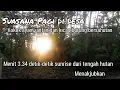 Download Lagu Suasana pedesaan pagi hari II Suara ayam berkokok dan kicau burung menyambut matahari terbit