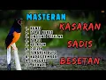 Download Lagu KOMBINASI BESSET KASARAN ‼️ MASTERAN MURAI BATU MATERI TEMBAKAN KASARAN BESETAN