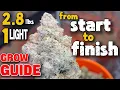 START TO FINISH COMPLETE GROW GUIDE TO GROWING CANNABIS