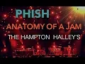 Phish - Anatomy of a Jam